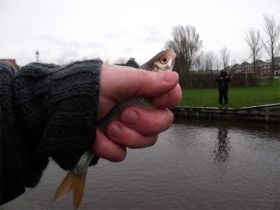 17 Hier hebben we veel van gevangen.jpg