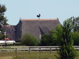 10a De zwarte haan van Zwarte Haan.jpg