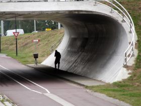 24 een vreemde flierefluiter onder de viaduct.jpg