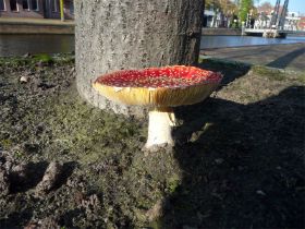 12_De herfst midden in Sneek.jpg
