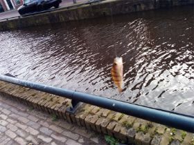25_Toch hebben we hier ook veel van  gevangen.jpg