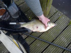 22_52 cm.jpg