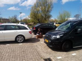 33_Muntjes tellen tussen de autos.jpg