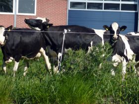 21_De meiden aan de overkant genoten ook van het lekker zonnig weer.jpg