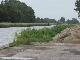 03 Verscholen in het riet.jpg